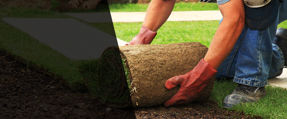 Lufkin Landscapers